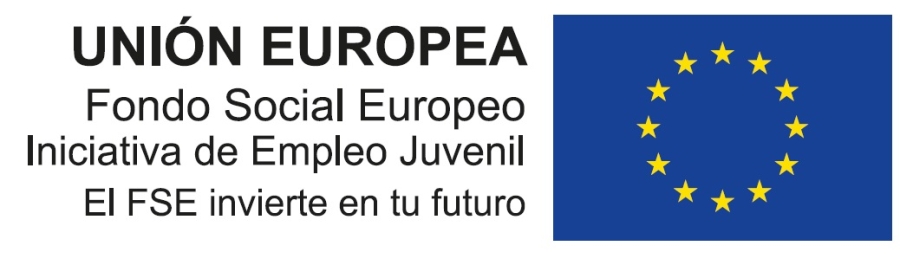 Logo FSE Fondo Social Europeo