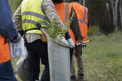 Gestión Forestal y del Medio Natural