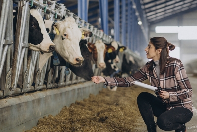 Producción Agropecuaria