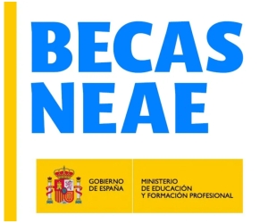 AYUDAS PARA ALUMNOS CON NECESIDAD ESPECÍFICA DE APOYO EDUCATIVO PARA EL CURSO ACADÉMICO 2025-2026