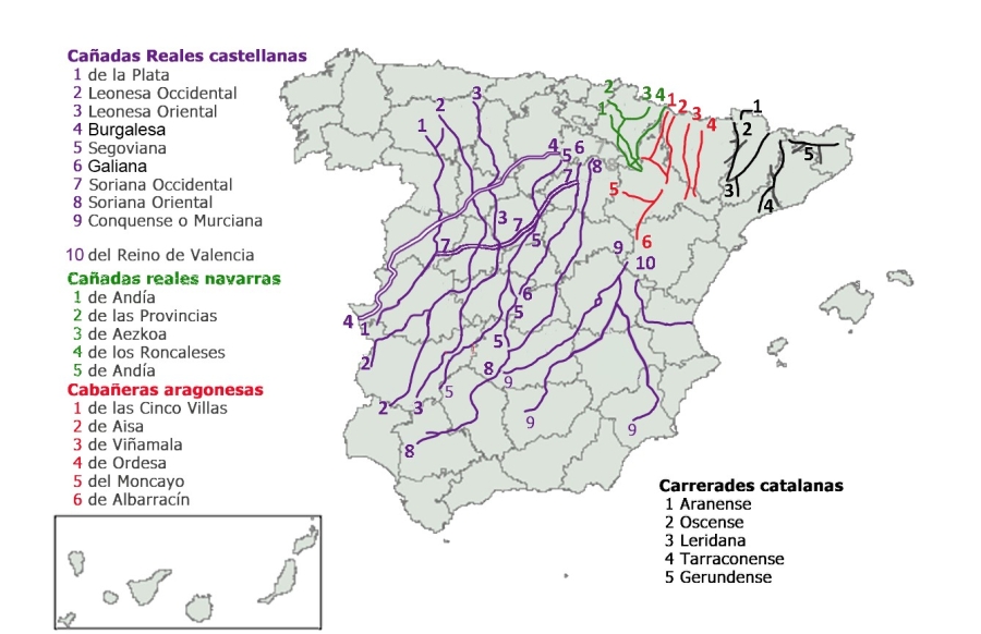 III Día de las Vías Pecuarias y Caminos Públicos.  Recorrido interpretado y estudio de biodiversidad  CIFP Nº 1 Cuenca (Albaladejito)